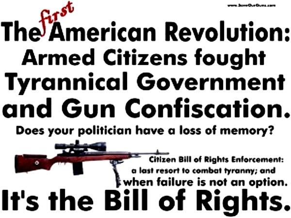 1st-american-rev-gun-rights