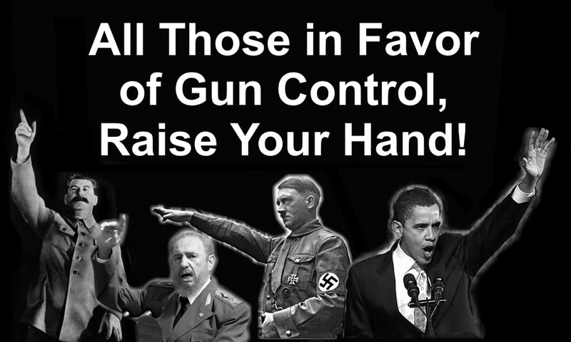 gun-control[1]